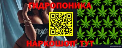 spice Бузулук
