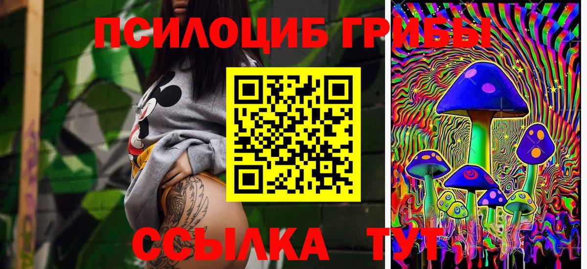 Псилоцибиновые грибы мухоморы Мончегорск